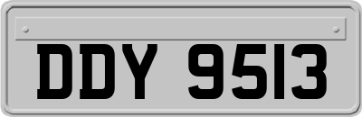DDY9513