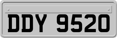 DDY9520