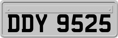 DDY9525