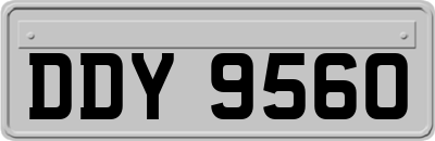 DDY9560