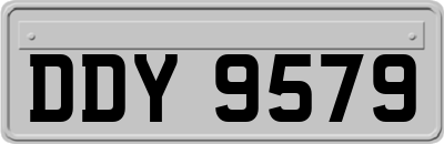 DDY9579