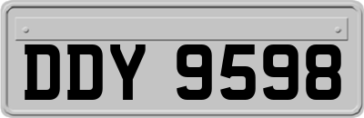 DDY9598