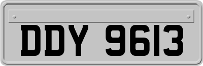 DDY9613