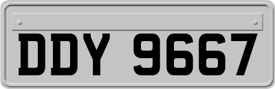 DDY9667