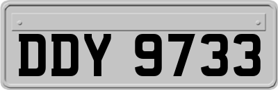 DDY9733