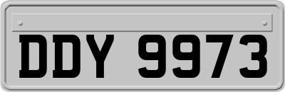 DDY9973