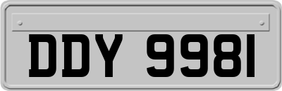DDY9981