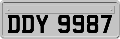 DDY9987