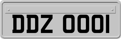 DDZ0001