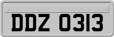 DDZ0313