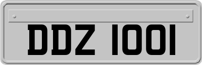 DDZ1001