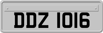 DDZ1016