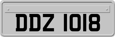 DDZ1018