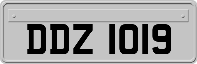 DDZ1019