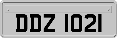 DDZ1021