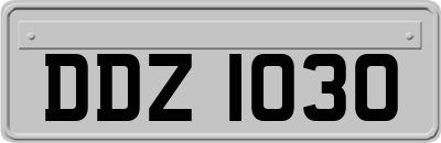 DDZ1030