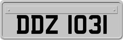 DDZ1031