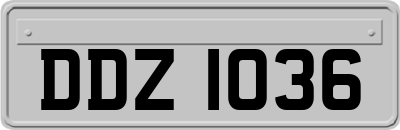 DDZ1036