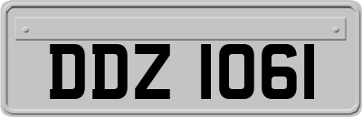 DDZ1061