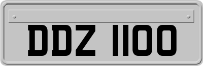 DDZ1100