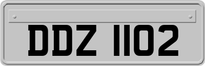 DDZ1102