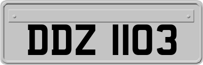 DDZ1103