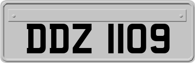 DDZ1109