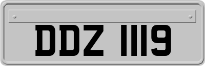 DDZ1119