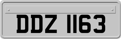 DDZ1163