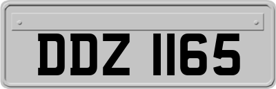DDZ1165
