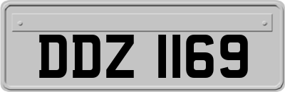 DDZ1169
