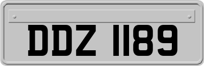 DDZ1189