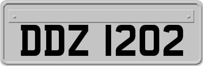 DDZ1202