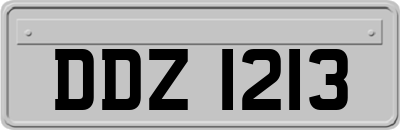 DDZ1213