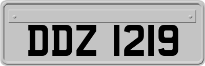 DDZ1219