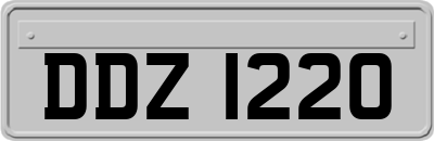 DDZ1220