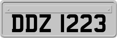 DDZ1223