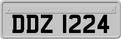 DDZ1224