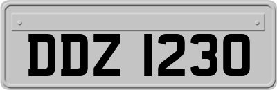 DDZ1230