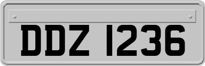 DDZ1236
