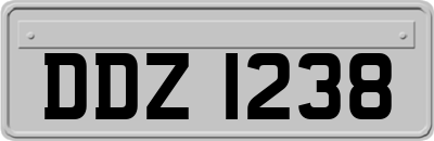 DDZ1238