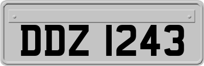 DDZ1243