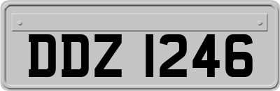 DDZ1246