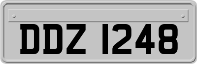 DDZ1248