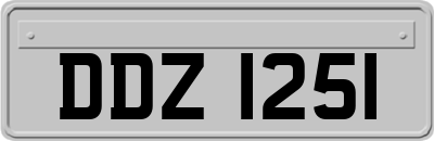 DDZ1251