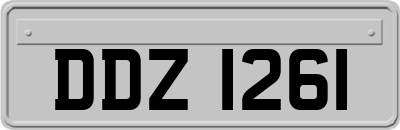 DDZ1261