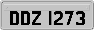 DDZ1273