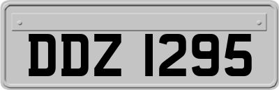 DDZ1295