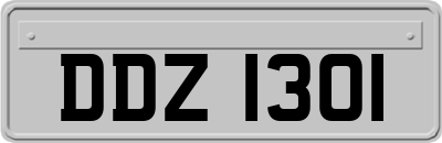 DDZ1301