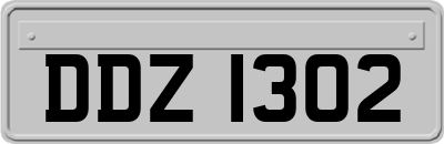 DDZ1302